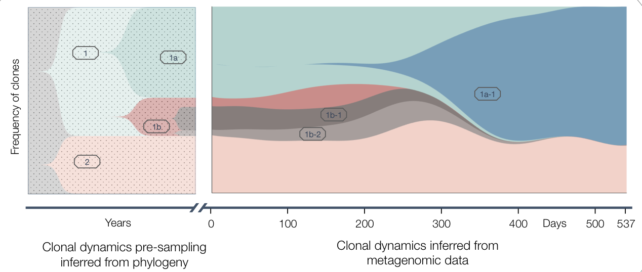 Lieberman Lab – Microbiomes ∩ Evolution ∩ Medicine